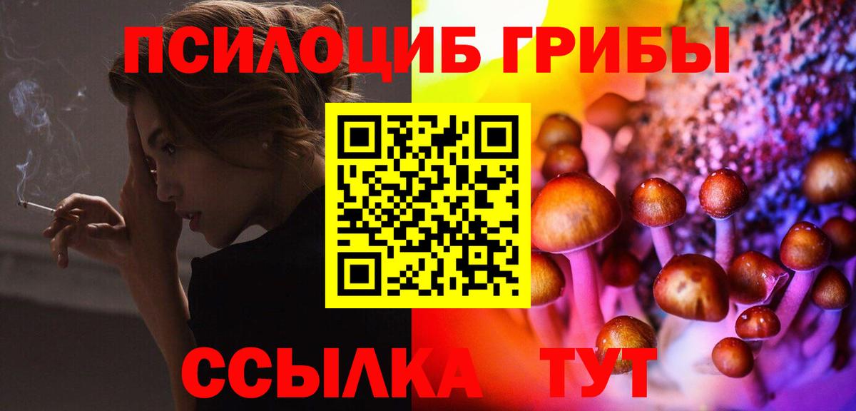 купить наркотик  Псилоцибиновые грибы Psilocybine cubensis  Вход с VPN  Учалы 
